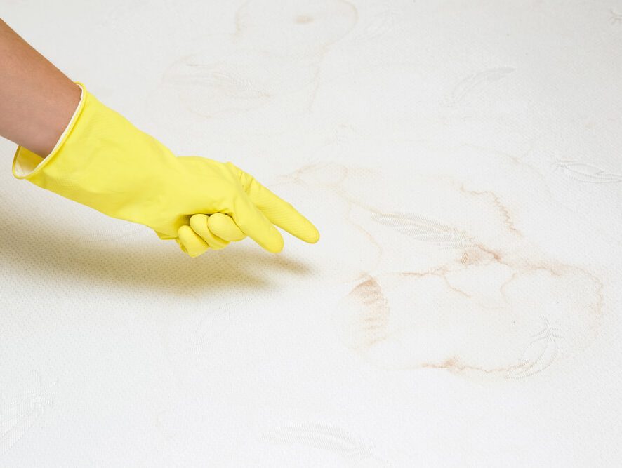 Guide to Removing Embarrassing Mattress Stains