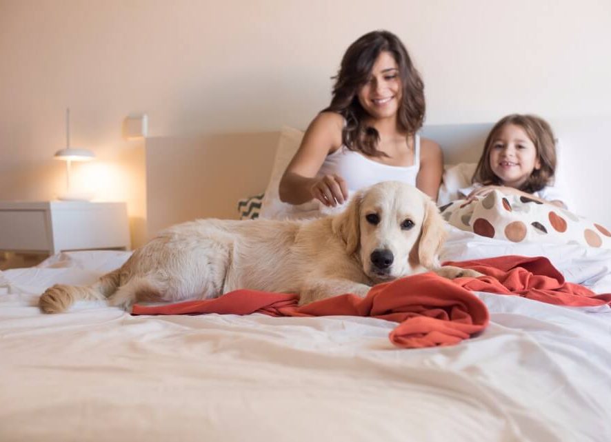 It's a Proven Fact that Your Mattress Gets Heavier With Age